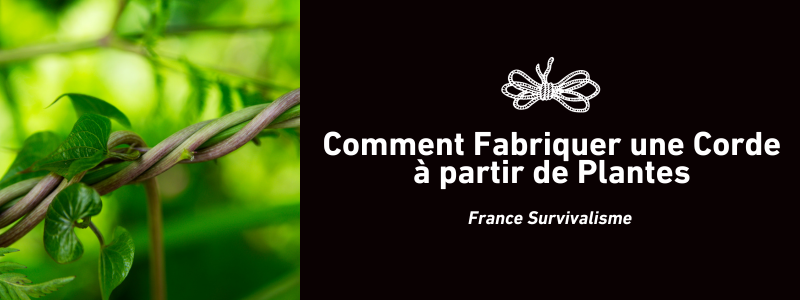 Comment Fabriquer une Corde à partir de Plantes